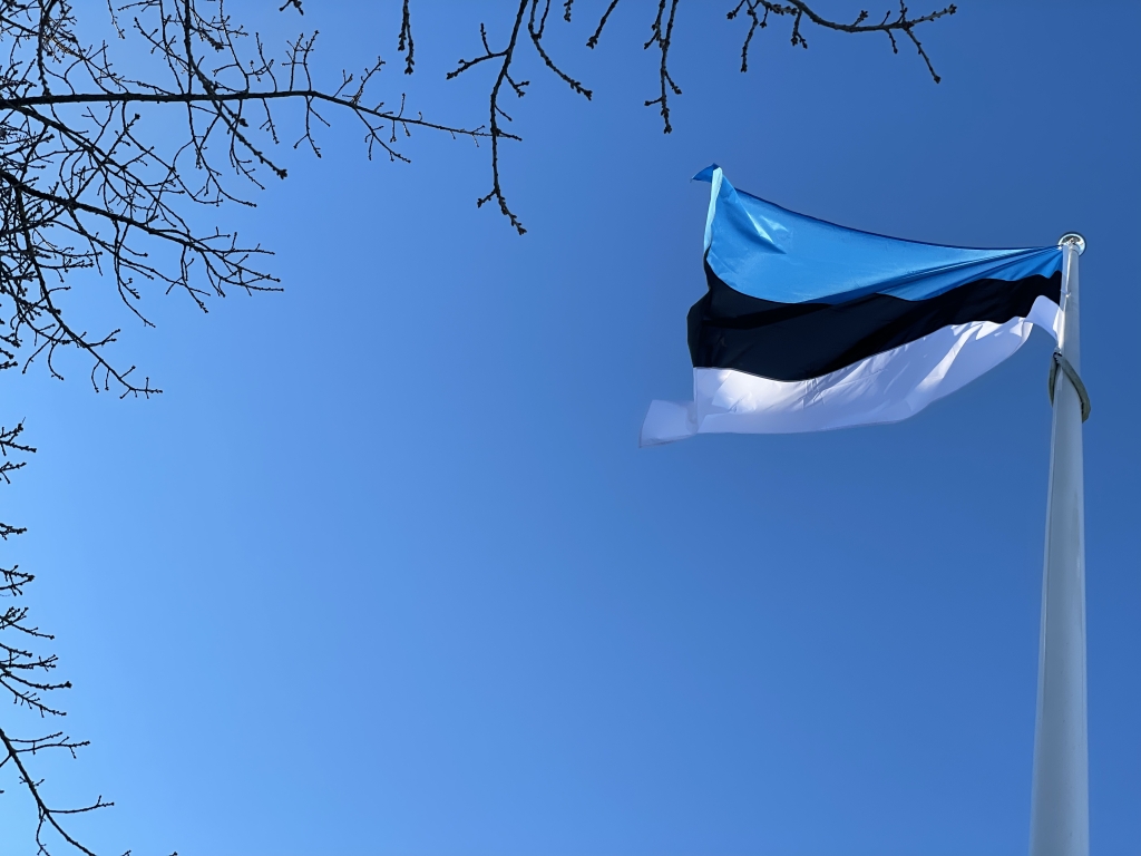Eesti lipp1.JPG