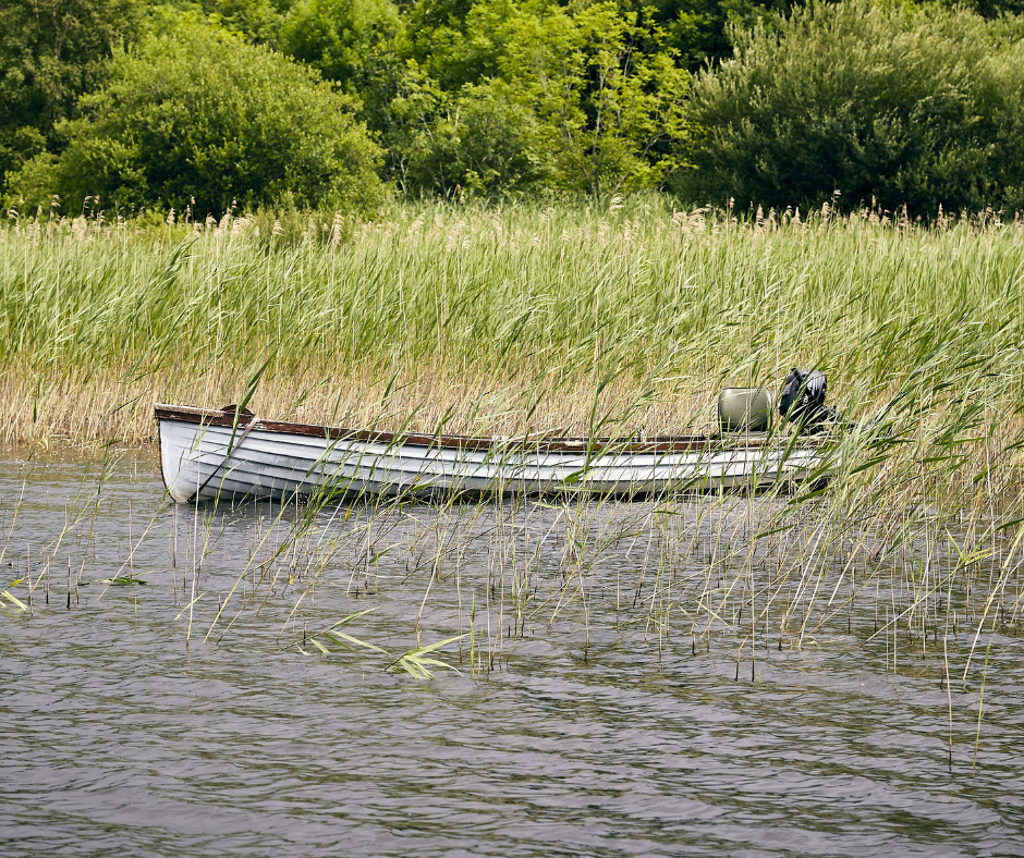 paat kaldal