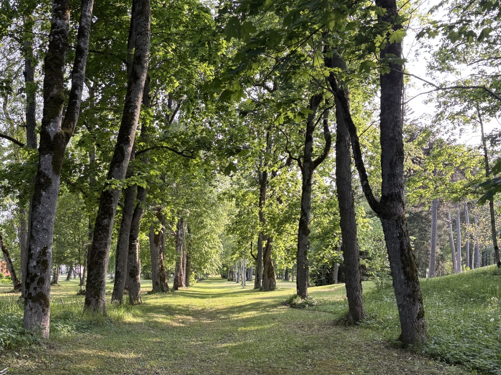 Kärla park
