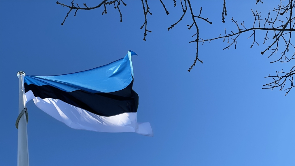 Eesti lipp