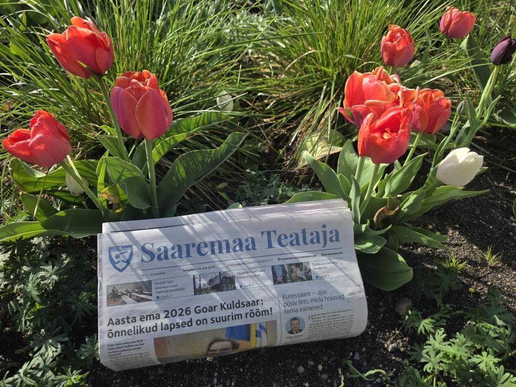 Maikuu Saaremaa Teataja